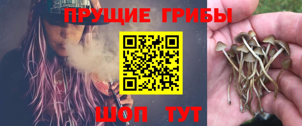 Астрахань  Псилоцибиновые грибы MAGIC MUSHROOMS  как найти   Вход с VPN 